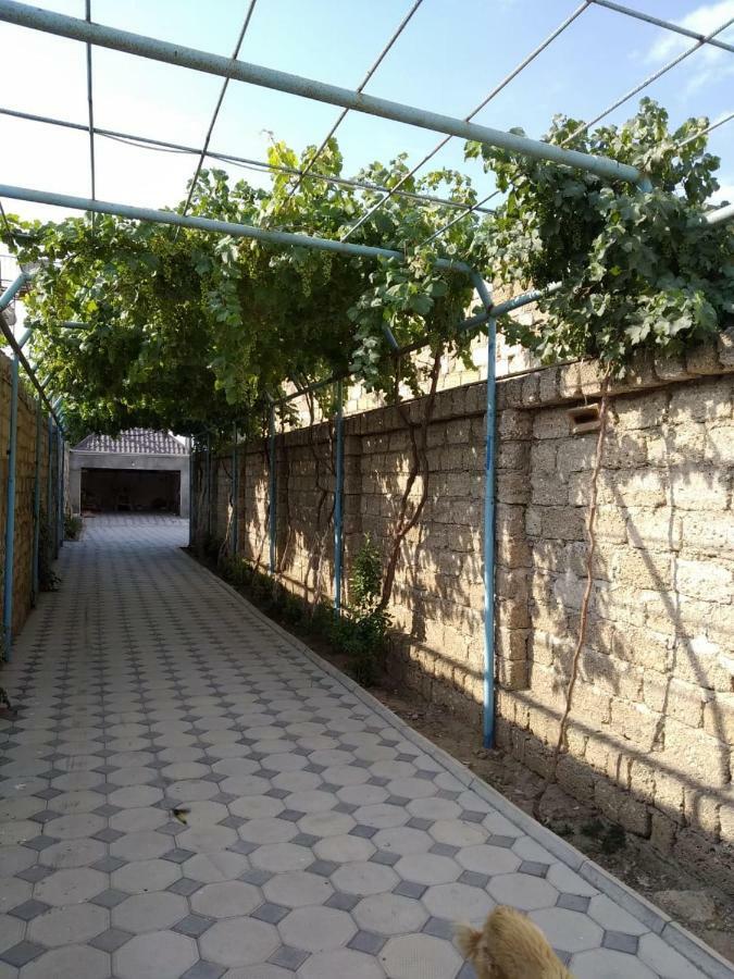 Villa Cozy House In Bina, Bolluq Baky Esterno foto
